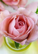 (Evento online) Meditação e Estabilidade Emocional