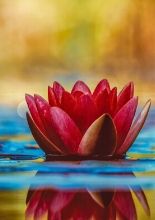 (Evento online) Como Deus o vê?