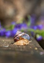 (Evento online) Práticas espirituais que fazem a diferença