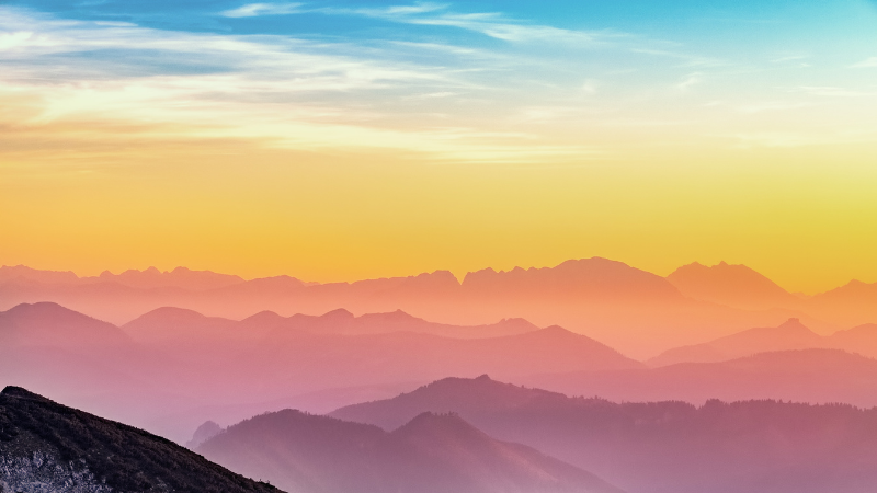 Online: Morning Meditation