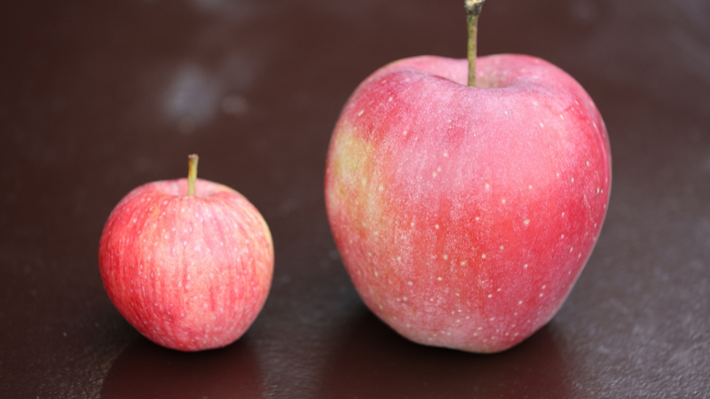 Online: Let Go of Comparison