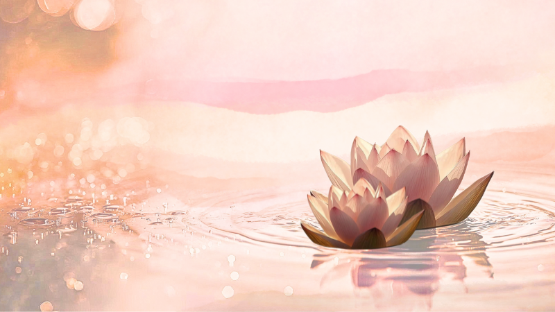 In-Person: Creative Meditation