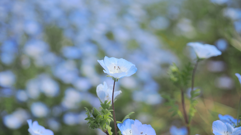 Friday Reset - Borrowing Strength from the Divine