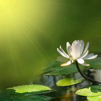 INVITACIÓN AL ESPACIO DE MEDITACIÓN