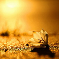 Meditaciones
