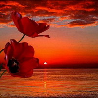 CHARLA Y MEDITACIÓN PRESENCIAL