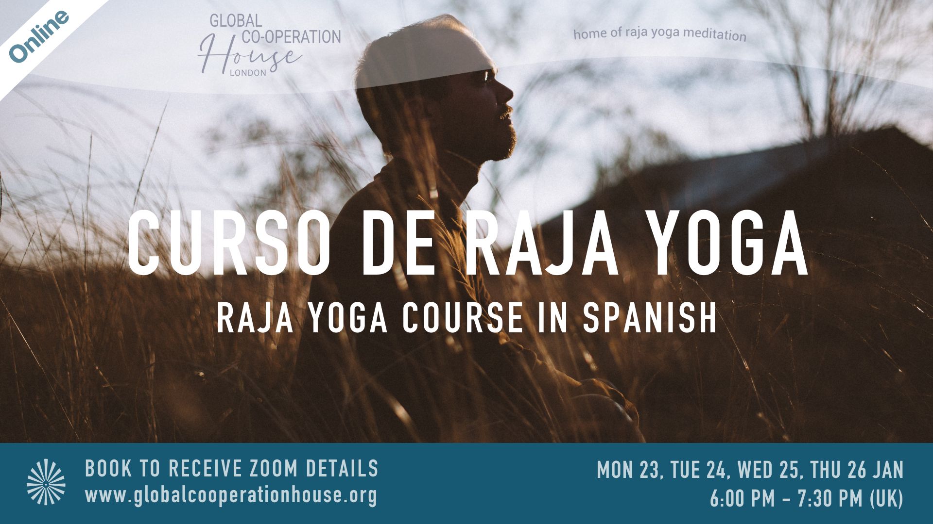 Curso de Raja Yoga
