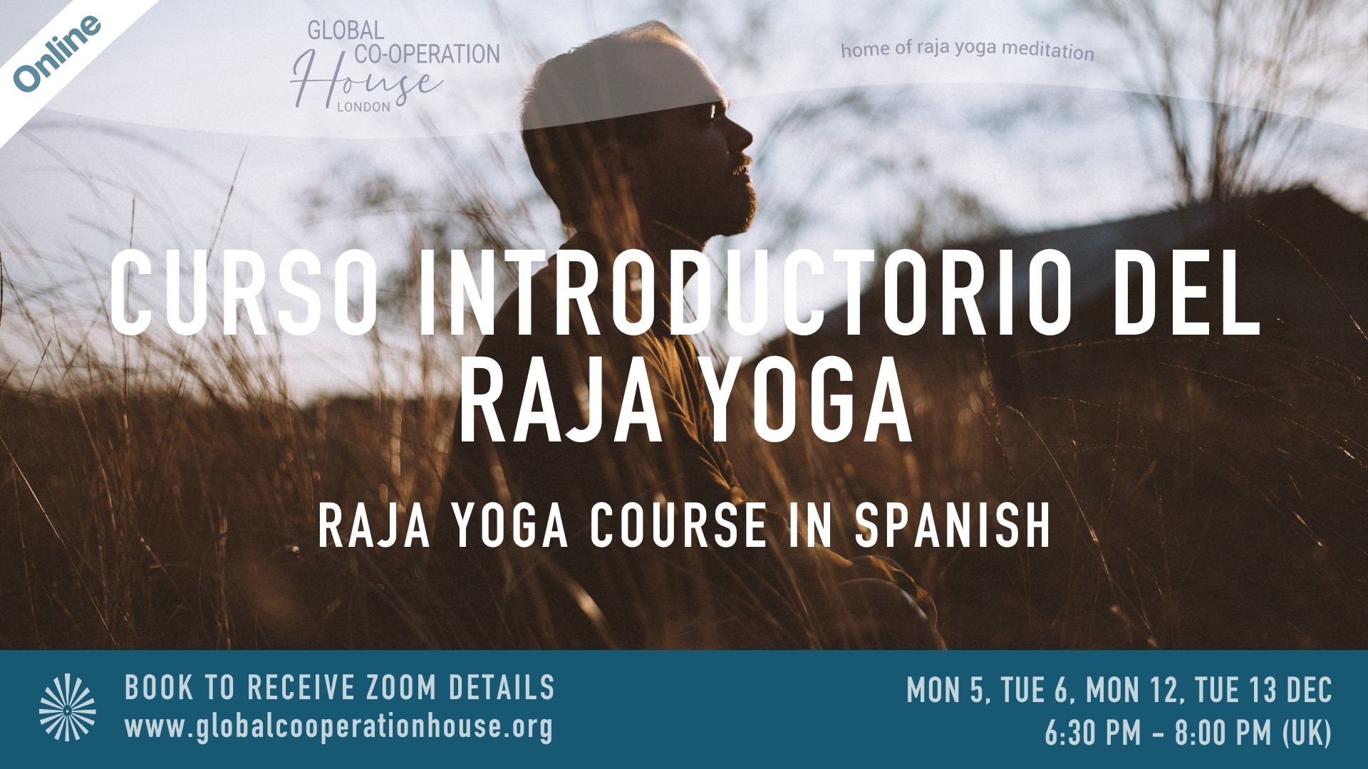 Curso Introductorio del Raja Yoga