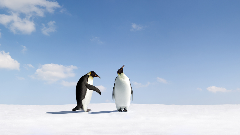 Online: What to Do When Relationships Get Tough