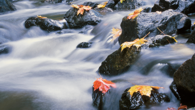 Online: Go with the Flow