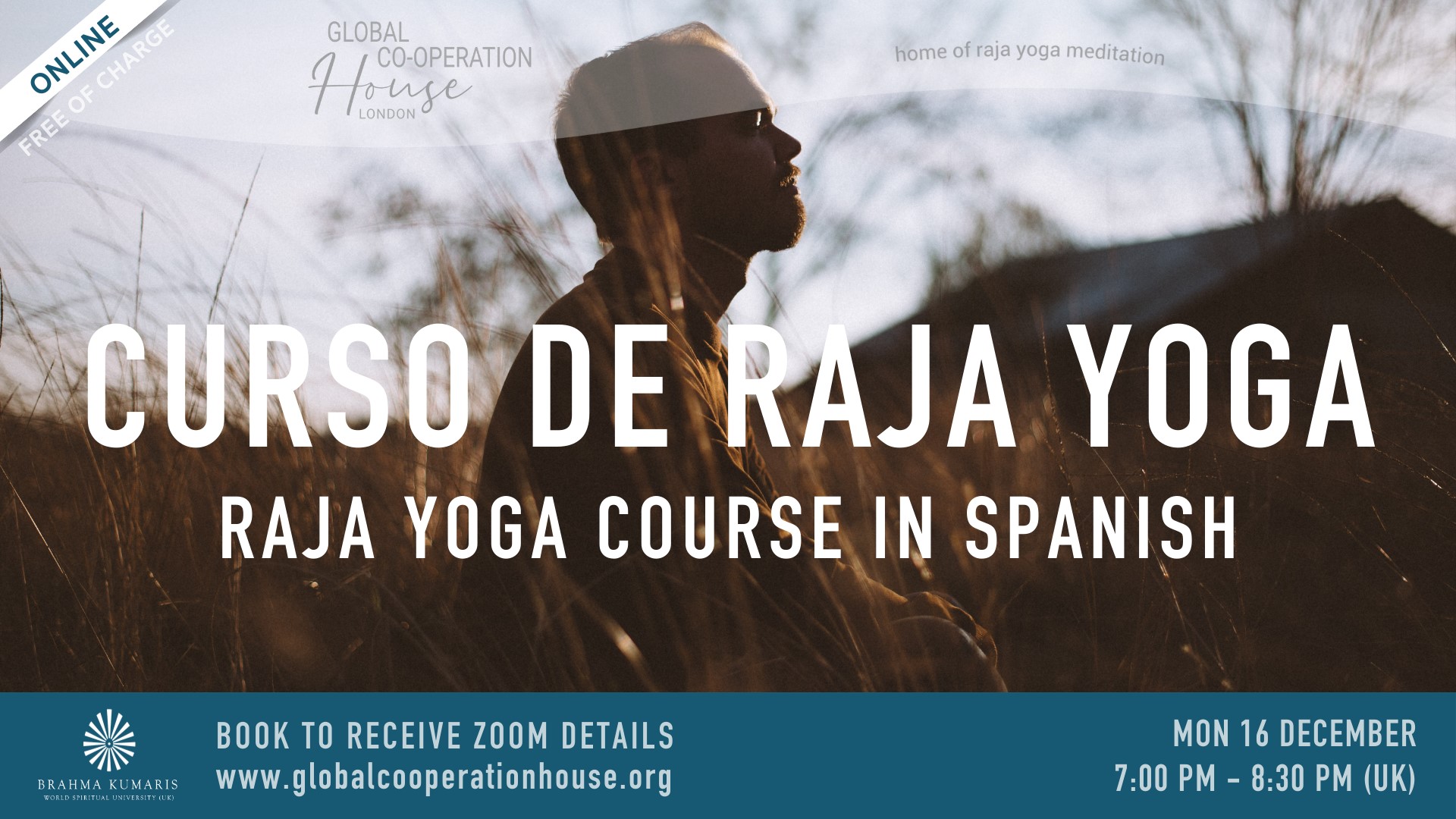 Curso de Raja Yoga