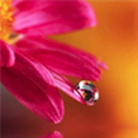 Charla y meditación guiada On-line