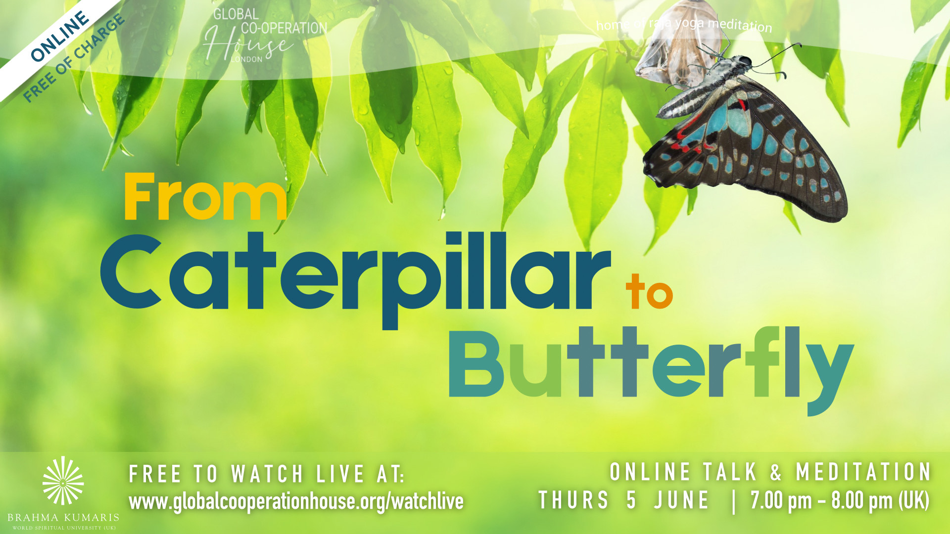 From Caterpillar to Butterfly