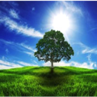Curso intensivo esencial de Meditación Raja Yoga