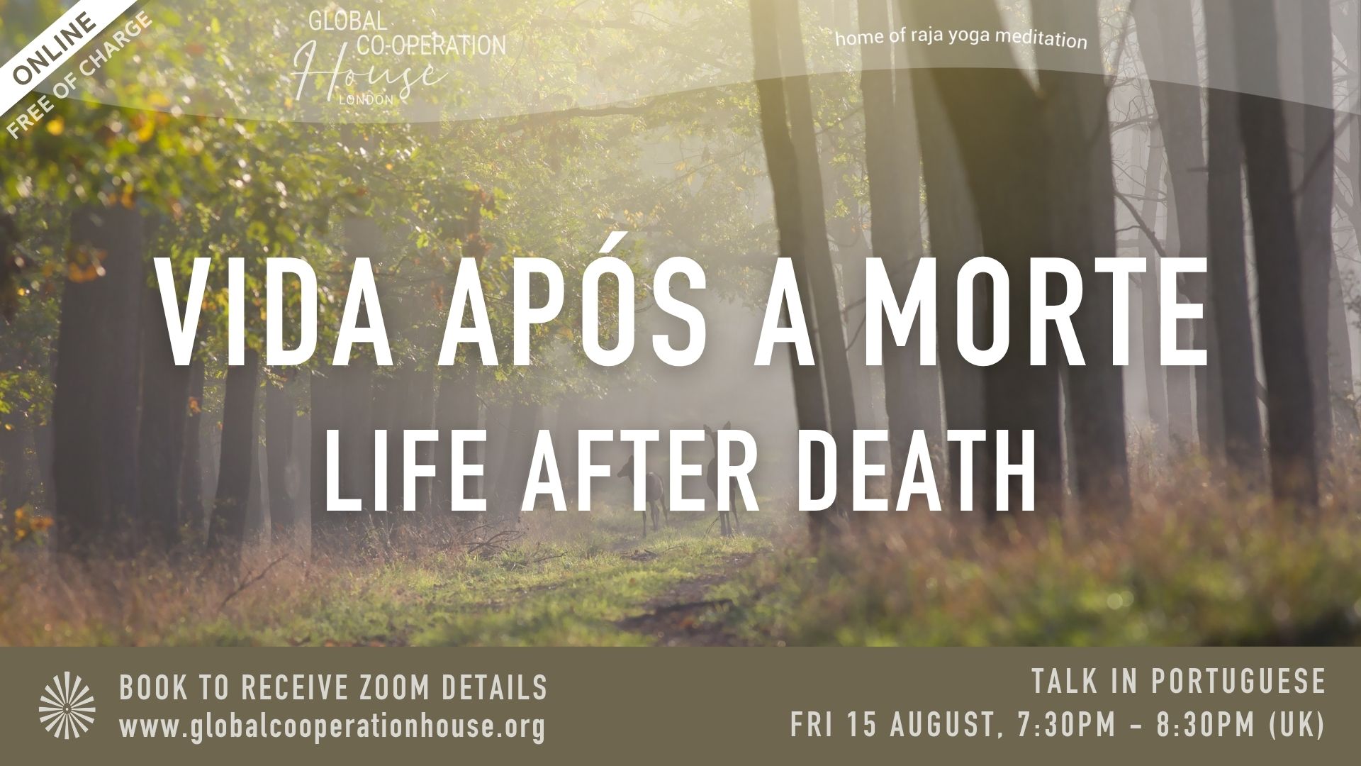Vida após a morte