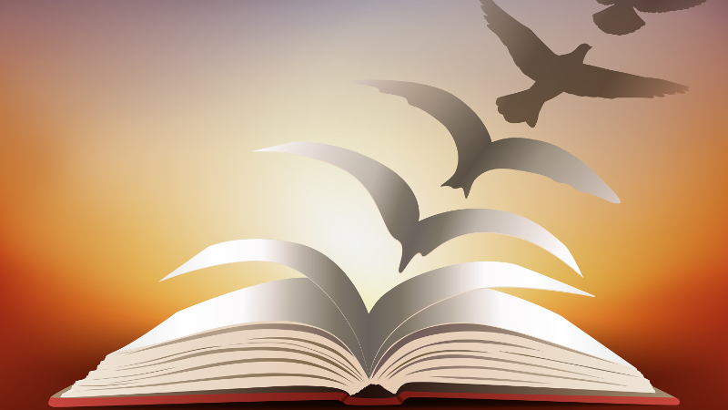 Words for Peace : Special Event