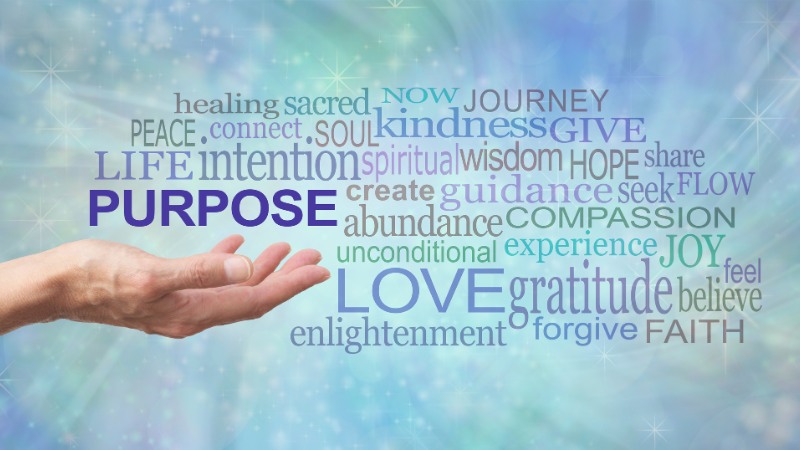 Online: Finding Your Purpose