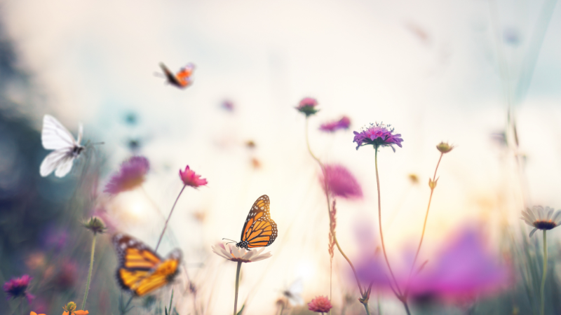 In-Person: Creative Meditation