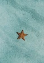 LISBOA-SEDE: Festa de Natal 