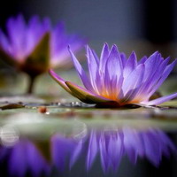 CHARLA Y MEDITACIÓN PRESENCIAL