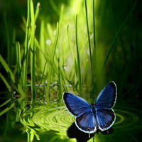 CHARLA Y MEDITACIÓN PRESENCIAL