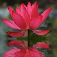 CHARLA Y MEDITACIÓN PRESENCIAL