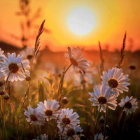 CHARLA Y MEDITACIÓN PRESENCIAL