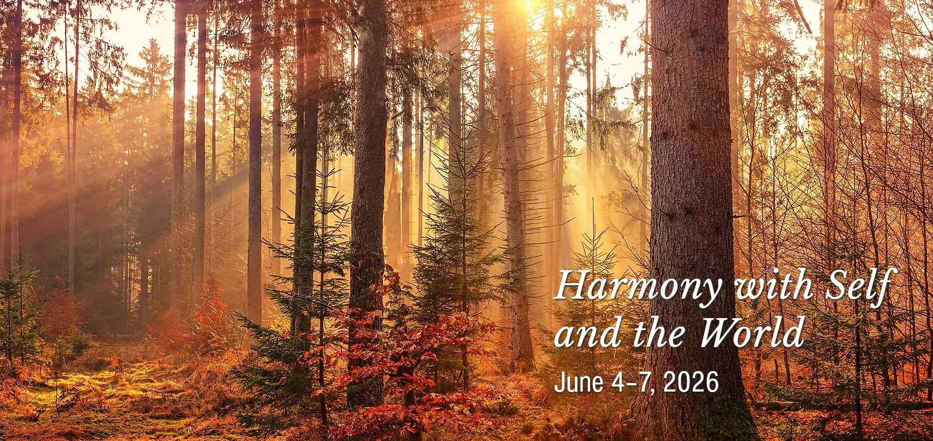 SOUTH SWEDEN: A Meditation & Nature Retreat