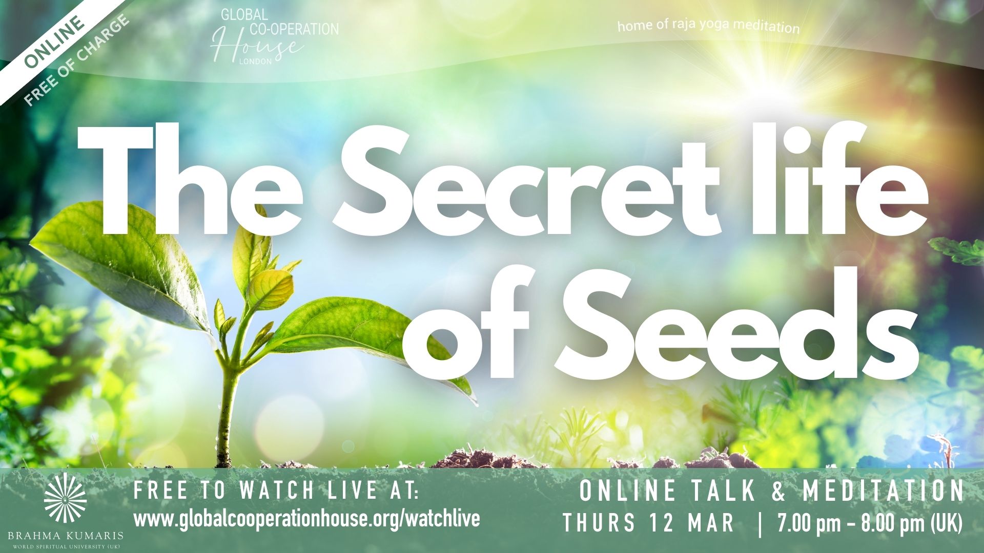 The Secret Life of Seeds