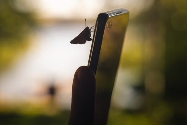 MIKKELI: 8 voimaa - onnelliseen elämään