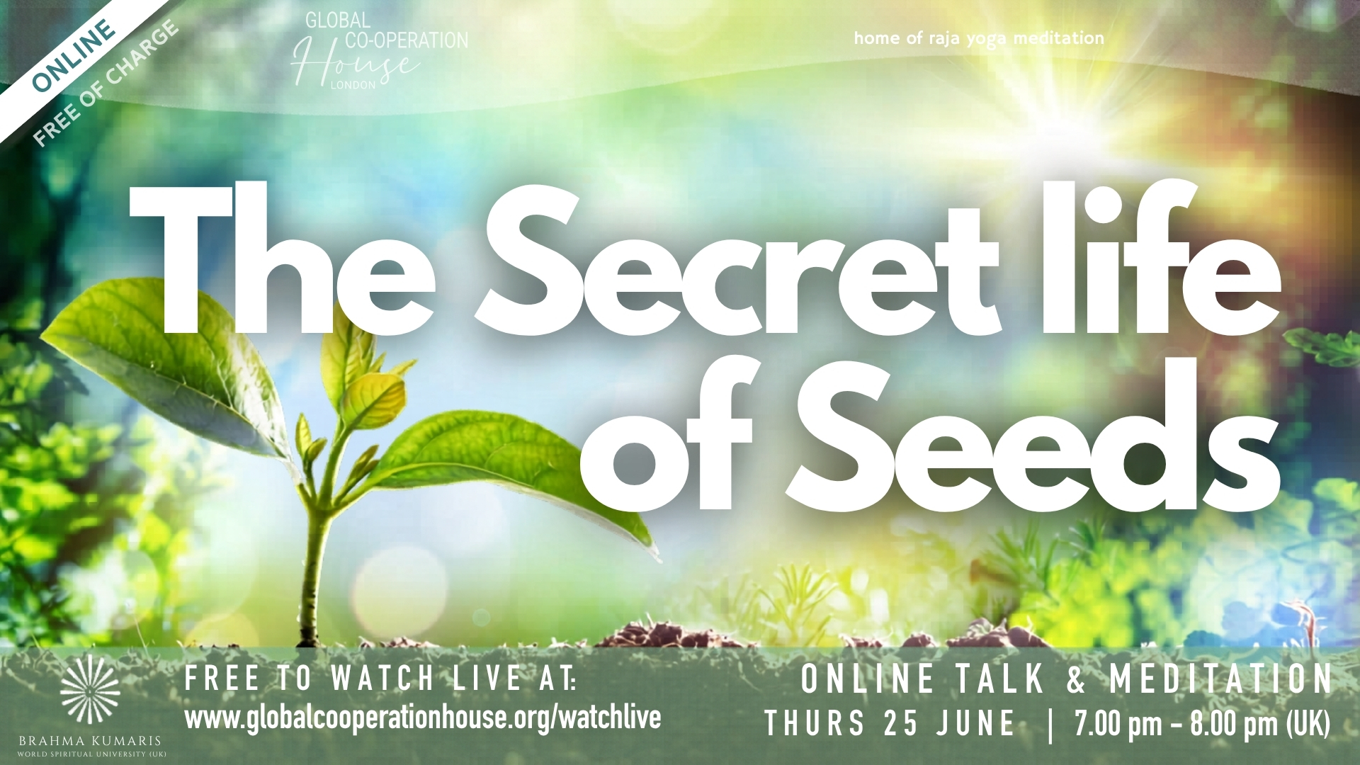 The Secret Life of Seeds