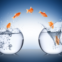TALLER: CÓMO GESTIONAR LAS EMOCIONES