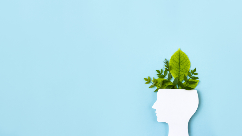 Creating a Better Inner World : Online Talk