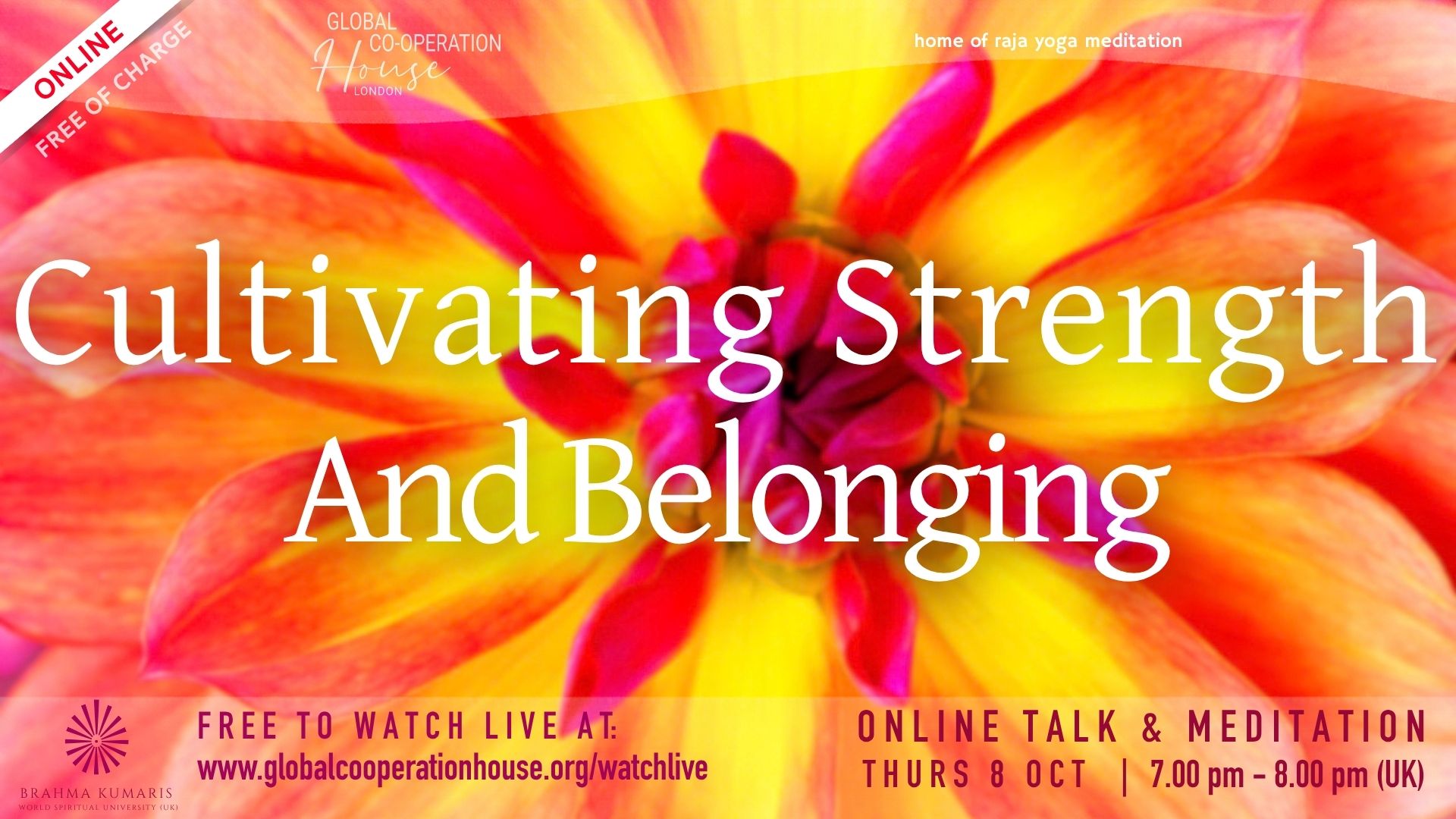 Cultivating Strength and Belonging
