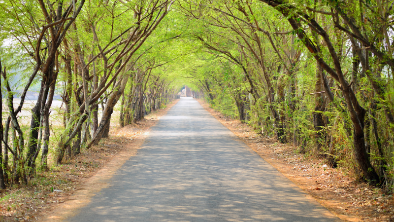 Online: Leaning into the Future without Fear