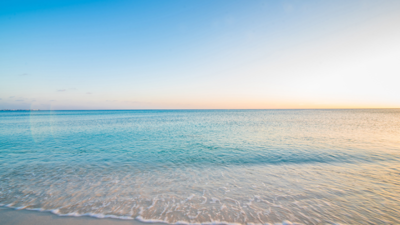 Online: Morning Meditation