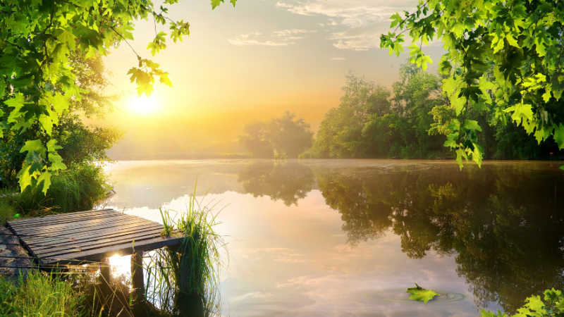 In-Person: Evening Meditation