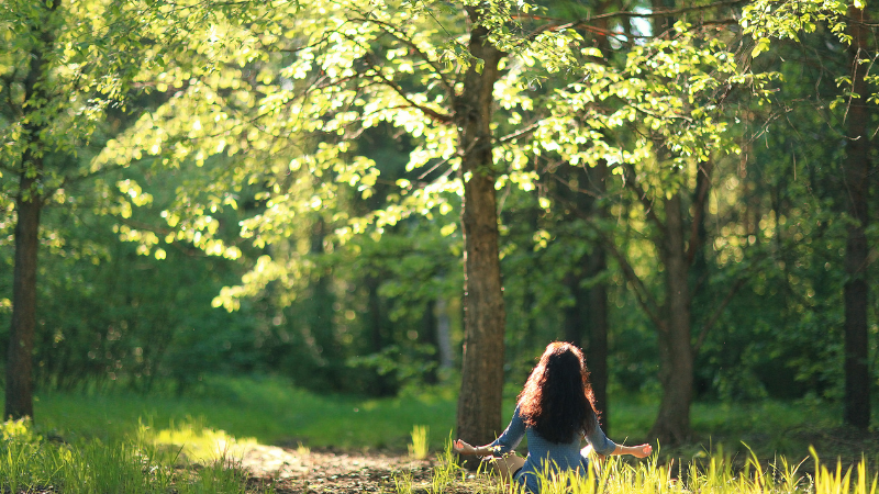 In-Person: Evening Meditation