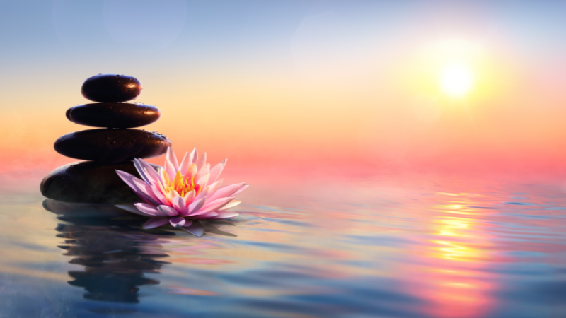 Online: Morning Meditation